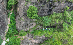 偷偷告诉你贵港这座大山里藏着“宝贝”