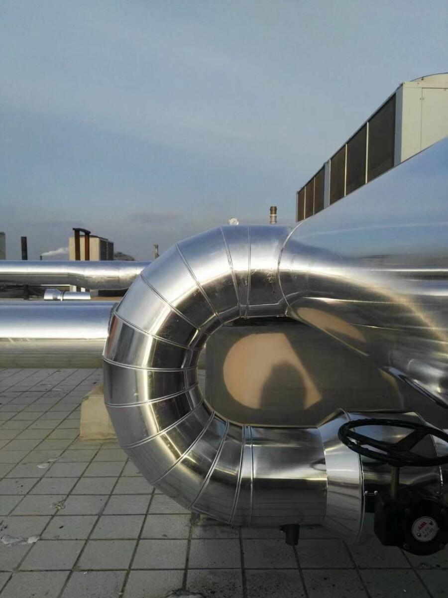 从山坳到都市:浙江景宁“一抹青绿”何以撬动千万级产业?