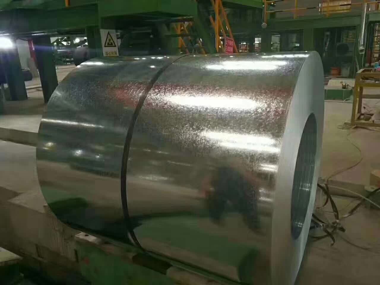 新研究揭示铁皮石斛抗逆的分子新机制